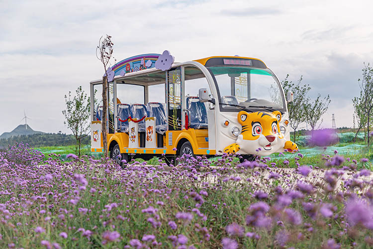 14座電動觀光車卡通款 14座電動觀光車卡通款