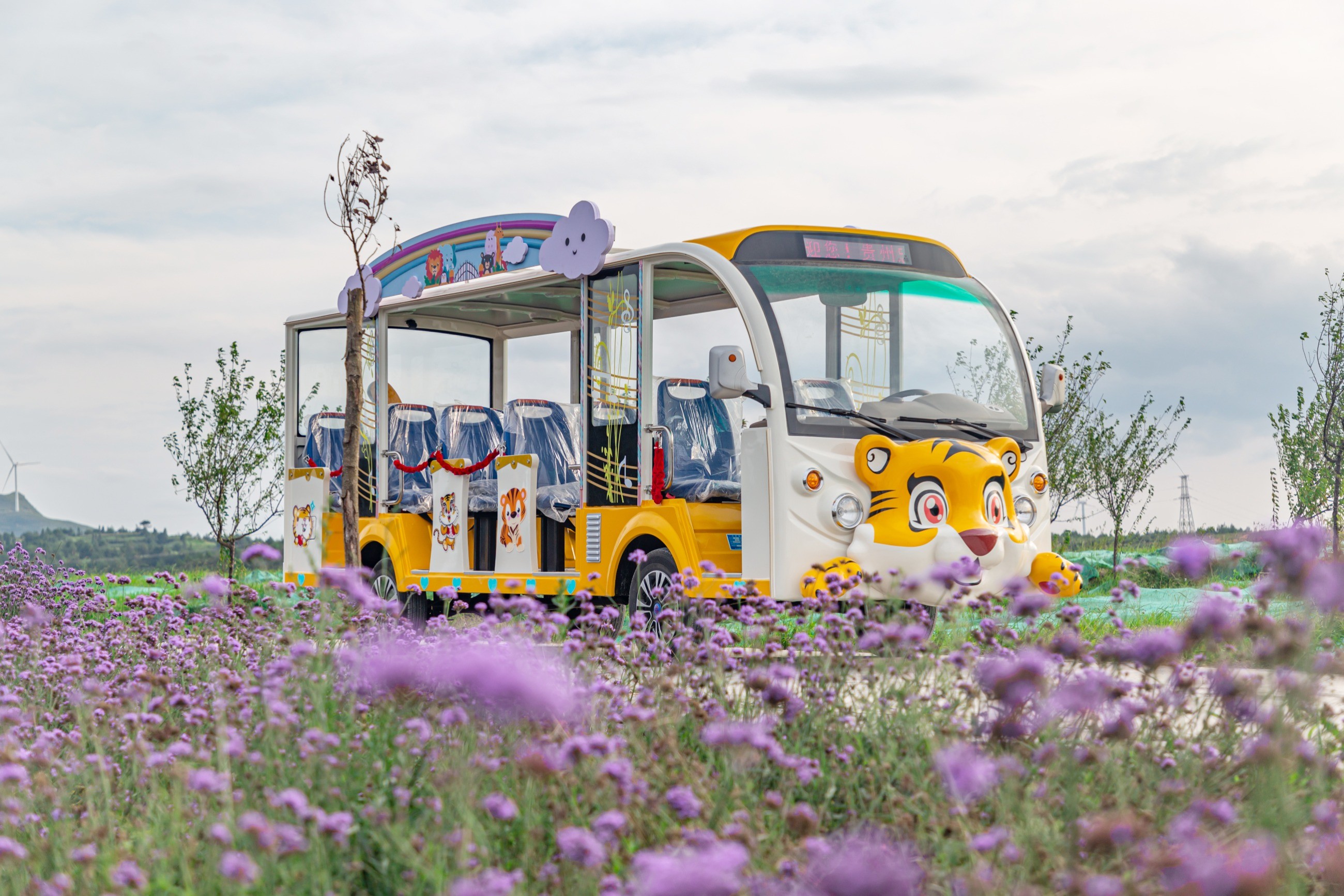 電動觀光車 電動觀光車