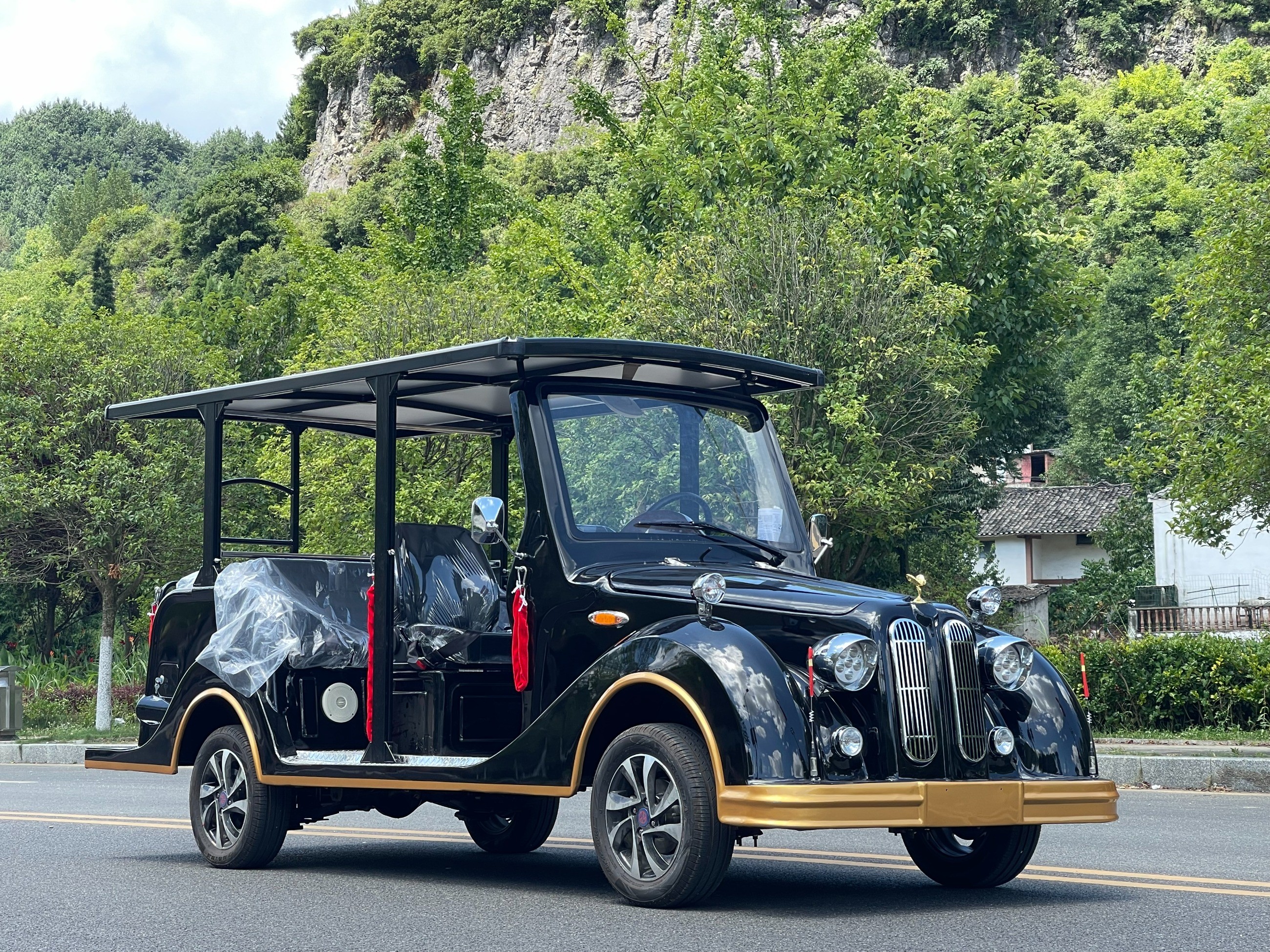 電動觀光車 電動觀光車