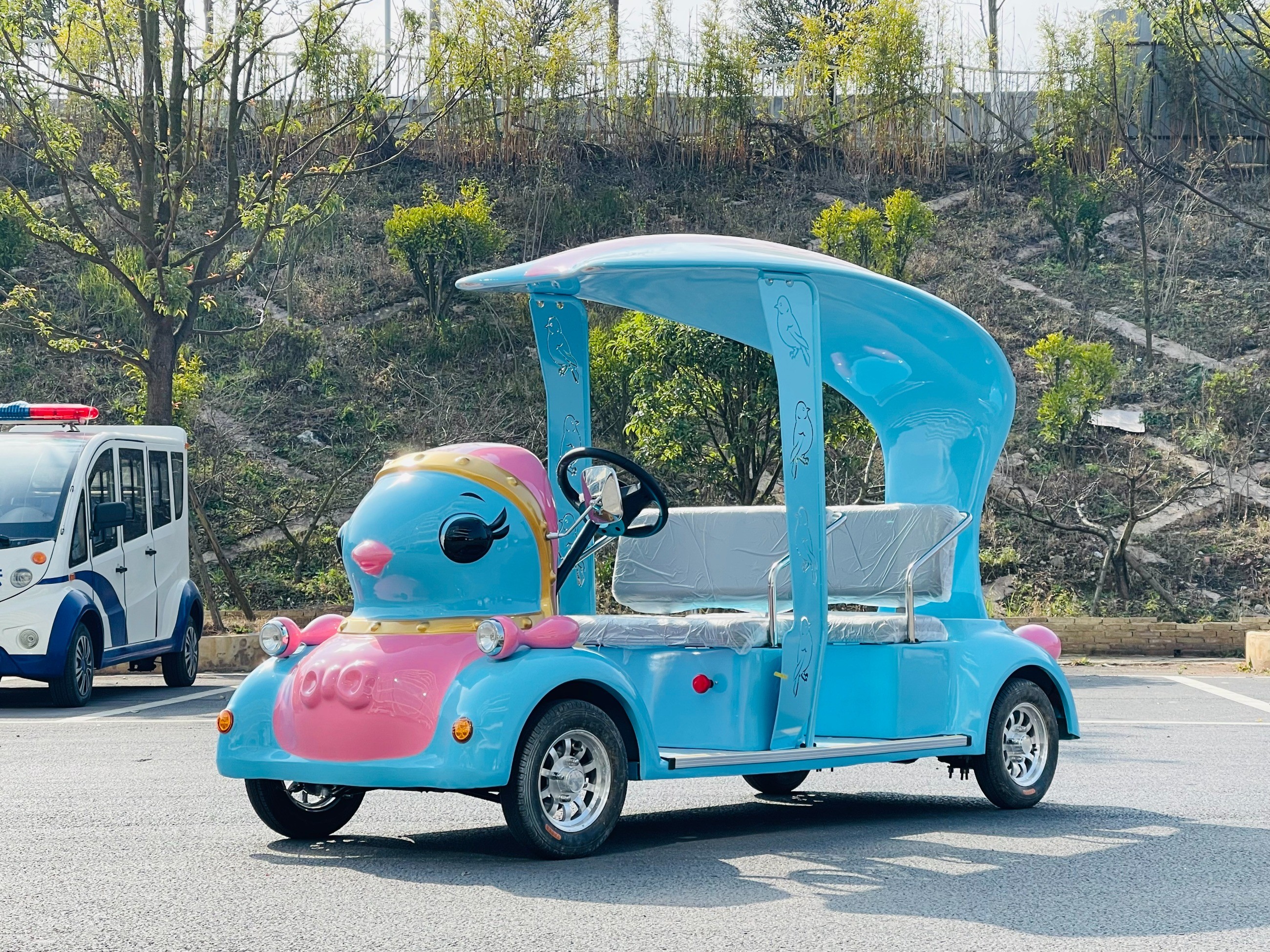 電動觀光車 電動觀光車