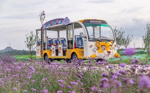 電動觀光車廠家哪個品牌好，電動觀光車市場價格